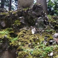 大山鹿スペシャル　伽羅蕗2025