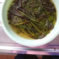　《　本当に気持ちいい季節、、》