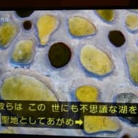 凄い！！としか・・「カナダ寒暖の奇観」より