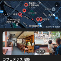 カフェテラス 樹樹