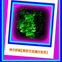🐉🌈〖日蓮大聖人〗由来の清流に【🐲龍神様⚡】出現❢❢