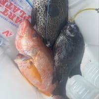 今日の釣り　5月20日(火)