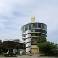 静かな潟と、ハスの兆し