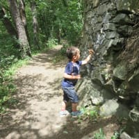 遊び場発見　自然を歩く、森の中の公園：クシヴォクラートの森を歩く　