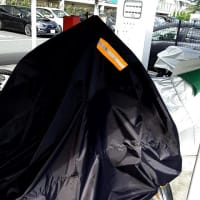 FLSTNのアンダーミラー化