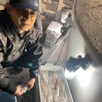 ６月２４日の釣果II〜🎣🐟
