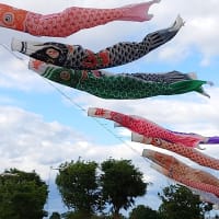誰も知らない お暇なら来てね