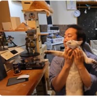 31日のワークショップの話と、〜半非物質状態ミェフ　遥かなる命の営み〜　の内容をご紹介したり