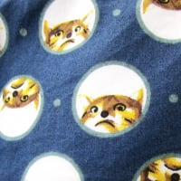 クサヨシが咲いてドドメが色づき始めた蒸し暑い日、「理容たけうち」のマスターは猫柄のシャツで迎えてくれた…