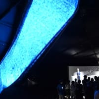 いのち動的平衡館　「うつろいゆく いのち」　～大阪関西万博　㉜