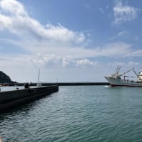 一年ぶりの釣行・・・その2  富浦新港～岡本桟橋