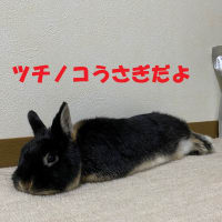 週刊すばる vol. 148