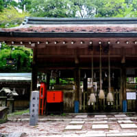 一言だけのお願い-大阪府千早赤阪村：金剛山