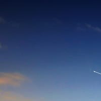 何とか捉えた紫金山・アトラス彗星