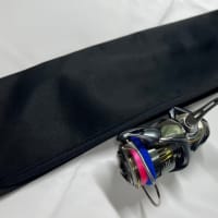 Daiwa ハートランド 冴掛 Feather Touch Technical　インプレ