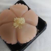 令和７年６月の上生菓子