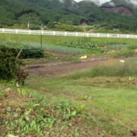 療養生活。