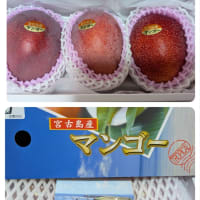 初エアコン
