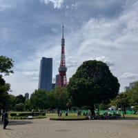 東京タワー　定点撮影