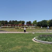 5月3日服部緑地公園