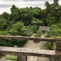 森林浴