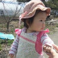 新領域