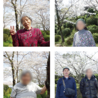 3月・4月　お花見