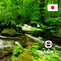 日本の絶景スポットとパワースポット(スピリチュアルスポット・神社・寺)を旅しよう#50 ヒーリングを得ることができるパワースポット「奥入瀬渓流」青森県 十和田市 日本