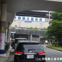 ６月例会「久留米の花菖蒲を求めて」（福岡県久留米市）
