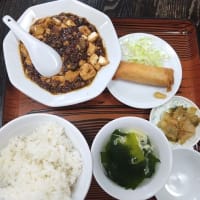 四川山椒が効いた麻婆定食＠美珍