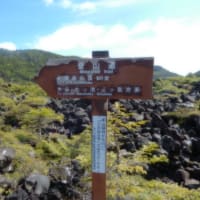 北八ヶ岳登山行