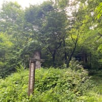 ヘロヘロの医王山