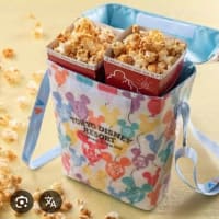 ディズニー 冬の持ち物
