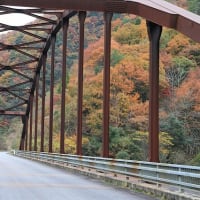 曇天の山紅葉。。。