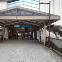 県立秦野戸川公園