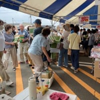 昨夜孫の澪奈がお泊り・アピデテント市28・29開催・弟修生の逮夜お参り