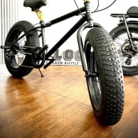 BRONX207 custom
