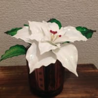新作☆ポインセチア白