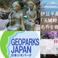 【地球から見る、日本の旅・第28回 】伊豆半島ジオパーク編　『「天城峠」名作を育んだ伊豆半島の地形とは』