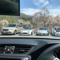 5年前夏の女鹿平スキー場でありました