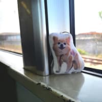しょうちゃんと大阪へ