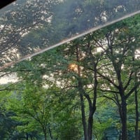 車の窓から見える西陽です