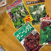 水耕栽培グリーンファーム　1＆2号同時リセット！