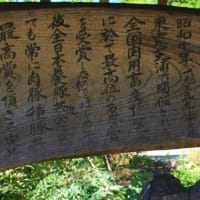 綾瀬高座豚の由来