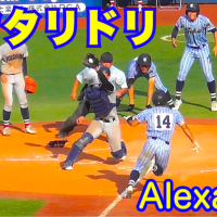 Alexandros　ワタリドリ  [歌詞付]