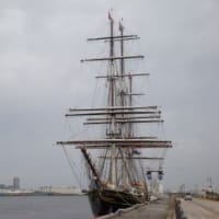 オランダ帆船「スタッド・アムステルダム」入港♪（２０２４春）。