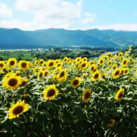 二度目の岩菅山。