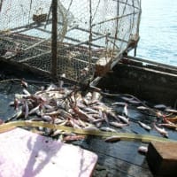 Fishing Memory at Malaysia --- Part 1