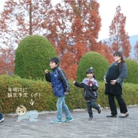 私の子育て、面白いらしい。。