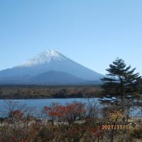 富士山　本栖湖＆精進湖